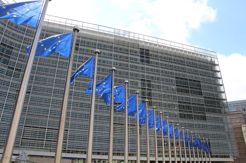 Fila de banderes de la Unió Europea